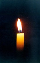vela vela