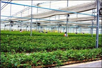 Vale converte multas contratuais em atividades sustent&aacute;veis