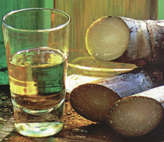 13 de setembro: Dia da Cacha&ccedil;a