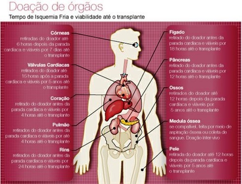 Par&aacute; se prepara para ampliar n&uacute;mero de transplantes de &oacute;rg&atilde;os