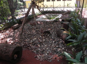 Parque Zoobot&acirc;nico Vale inicia programa de reprodu&ccedil;&atilde;o de mam&iacute;feros de esp&eacute;cie rara