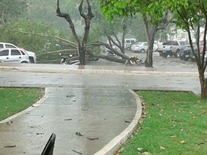 Chuva r&aacute;pida deixa preju&iacute;zos em Parauapebas
