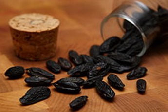 240px-Tonka_Beans 240px-Tonka_Beans