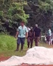 Aviso: Alerta de felinos na &aacute;rea do N&uacute;cleo Urbano de Caraj&aacute;s
