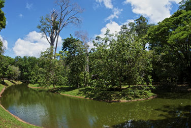 Serra dos Caraj&aacute;s: Parque da Vale concentra diversidade amaz&ocirc;nica e atrai milhares de visitantes
