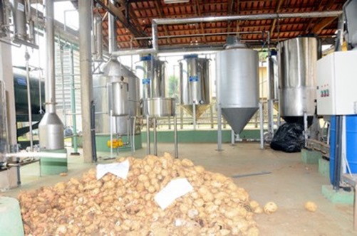 Parauapebas ter&aacute; projeto piloto para produ&ccedil;&atilde;o de biocombust&iacute;vel