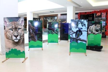 Belém e Parauapebas receberão exposição sobre Floresta Nacional Tapirapé-Aquiri