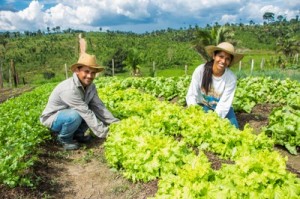 S&eacute;rie produ&ccedil;&atilde;o rural: investimentos da Prefeitura reforçam empreendedorismo rural