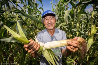 Em Parauapebas 33% dos produtos da merenda escolar s&atilde;o adquiridos da agricultura familiar