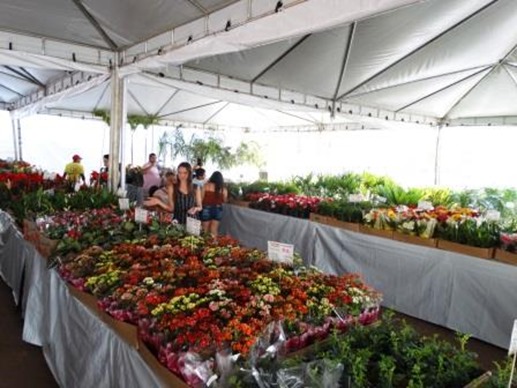 2&ordm; Festival das Flores foi sucesso absoluto de vendas em Parauapebas e Cana&atilde; dos Caraj&aacute;s