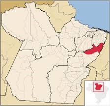 Pecu&aacute;ria Verde alavanca lucro de fazendas no Par&aacute;