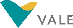 Vale j&aacute; perdeu mais de R$ 200 bilh&otilde;es de valor de mercado