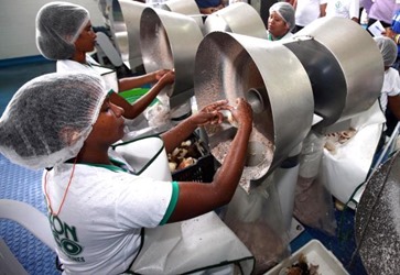 Par&aacute; &eacute; o 8&ordm; Estado que mais cria emprego no Brasil