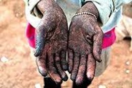 Par&aacute; registra maior n&uacute;mero de casos de trabalho escravo na Regi&atilde;o Norte