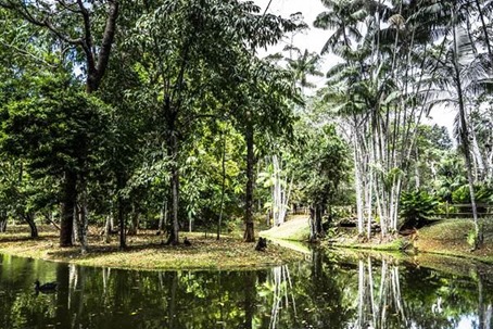 Parque Zoobot&acirc;nico Vale &eacute; op&ccedil;&atilde;o de lazer em fam&iacute;lia