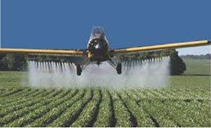 Justi&ccedil;a determina per&iacute;cia sobre impactos de agrot&oacute;xicos no Par&aacute;