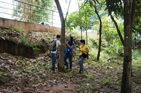 Em Parauapebas, Meio Ambiente e UFRA realizam censo das plantas nos canteiros da cidade.