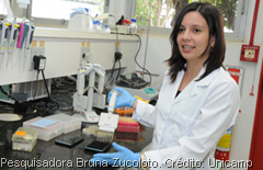 Pesquisa da Unicamp identifica bact&eacute;rias em rejeitos de minera&ccedil;&atilde;o em Cana&atilde; dos Caraj&aacute;s