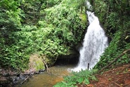Turismo: Floresta Nacional de Caraj&aacute;s ser&aacute; aberta para visita&ccedil;&atilde;o por Cana&atilde;