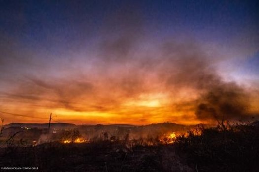 &Oacute;rg&atilde;os p&uacute;blicos se mobilizam no combate &agrave;s queimadas urbanas