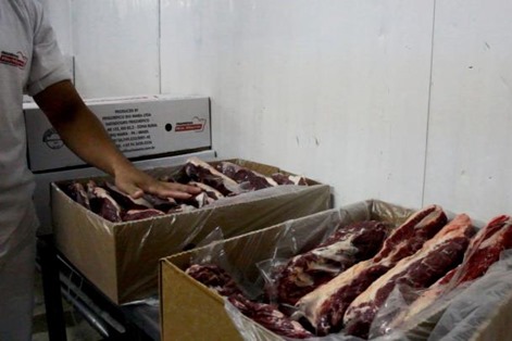 carne carne