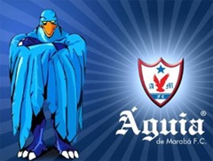 águia