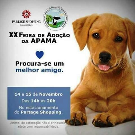 ONG realiza feira de ado&ccedil;&atilde;o de animais neste fim de semana  em Parauapebas