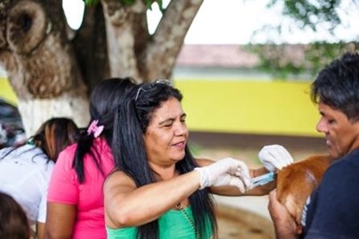 Mais de 20 mil animais foram vacinados contra a Raiva em Parauapebas no &uacute;ltimo s&aacute;bado