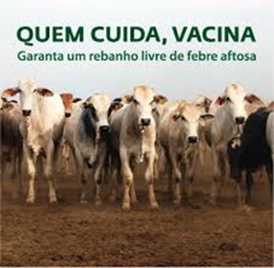 Vacina&ccedil;&atilde;o contra a febre aftosa tem prazo prorrogado