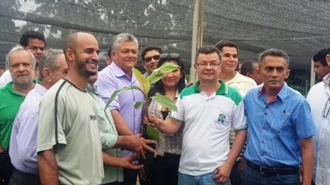 Sedap e Emater entregam  mudas de banana a agricultores do sudeste paraense