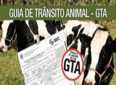 Cadastro Ambiental Rural ser&aacute; exigido para emiss&atilde;o da Guia de Tr&acirc;nsito Animal