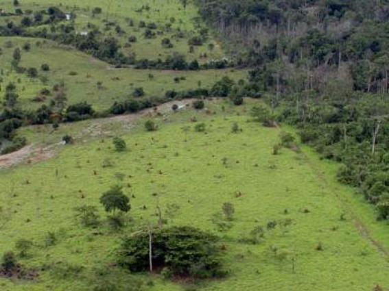 Reforma agr&aacute;ria beneficia 256 fam&iacute;lias no Sul do Par&aacute;