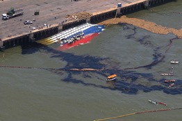 Termina nesta quarta-feira prazo para retirar barco que naufragou com 5 mil bois no Par&aacute;