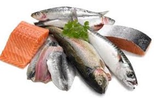 &ldquo;Cidade vai estar bem abastecida de pescado na Semana Santa&rdquo;, garante presidente da Coofepar