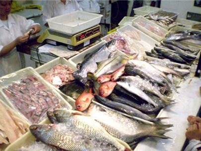 Governador autoriza suspens&atilde;o da sa&iacute;da de pescado do Par&aacute;
