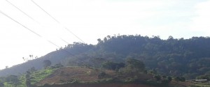Terreno Zequinha