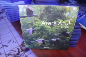 Vale e ICMBio lançam livro sobre a Arara-azul-grande de Carajás