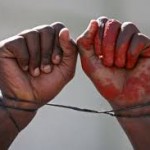 Corte de Direitos Humanos investigará denúncia de escravidão no Pará
