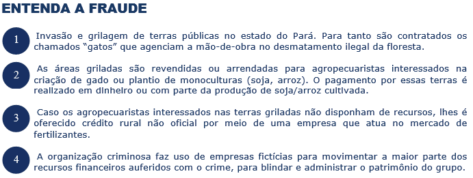 Receita Federal combate organização criminosa especializada em grilagem de terras públicas, crimes ambientais e lavagem de dinheiro.
