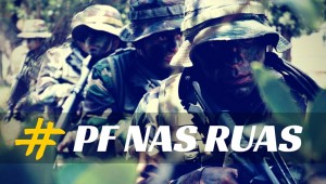 PF e PRF desarticula organização criminosa de transporte ilegal de madeira no Pará, Maranhão, Sergipe e Piauí