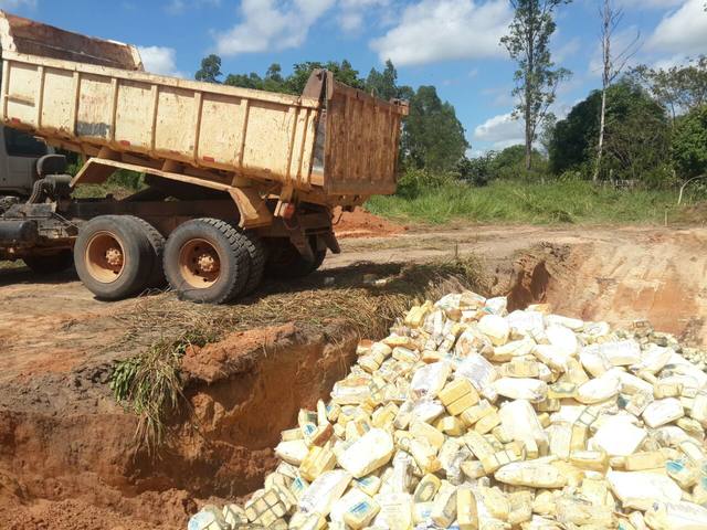 Fiscais descartam 43 toneladas de queijo estragado apreendidas em Marabá