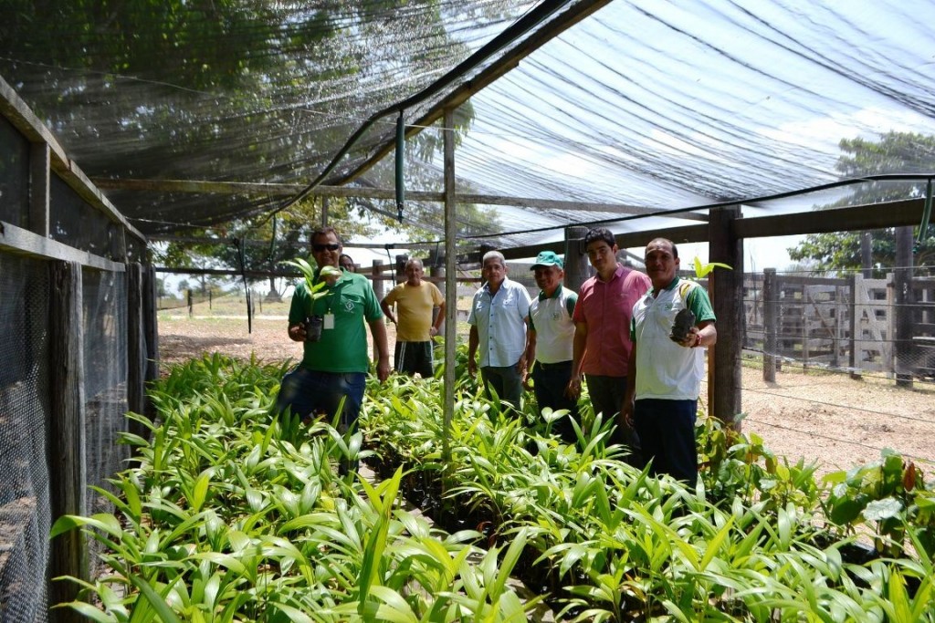 Diretor técnico da EMATER visita regional de Marabá