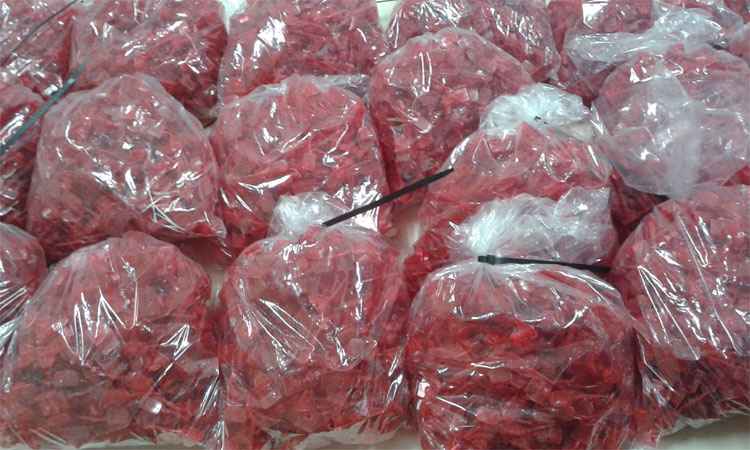 Polícia Civil de Minas Gerais apreende 11,4 mil lacres do Detran-PA encontrados em Contagem-MG