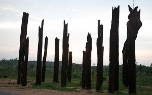 Curva do S Eldorado dos Carajás MST