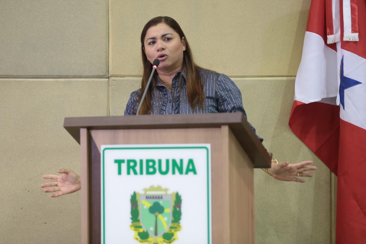 Marabá: vereadora Irismar Melo lança suspeita sobre os processos ...