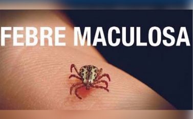 Exclusivo: Laudo descarta morte de criança de Parauapebas por Febre Maculosa. As investigações sobre as causas continuam.