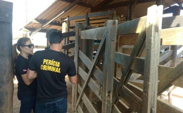 Não houve conflito e fazendeiro é temporariamente empossado pelas Forças de Segurança do Estado na Fazendinha