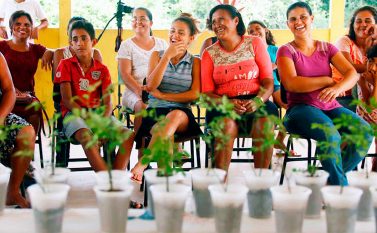 Semente de maracujá produzido em Parauapebas será exportada