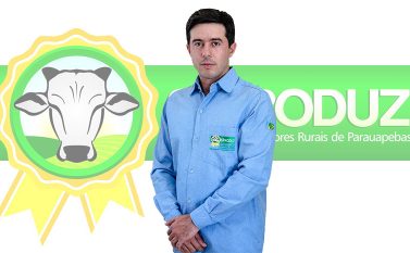 Programação oficial da FAP 2017 será lançada neste sábado (12)
