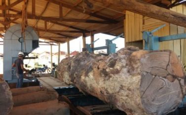 Cooperativa de moveleiros de Parauapebas estima gerar cerca de 400 empregos até dezembro desse ano